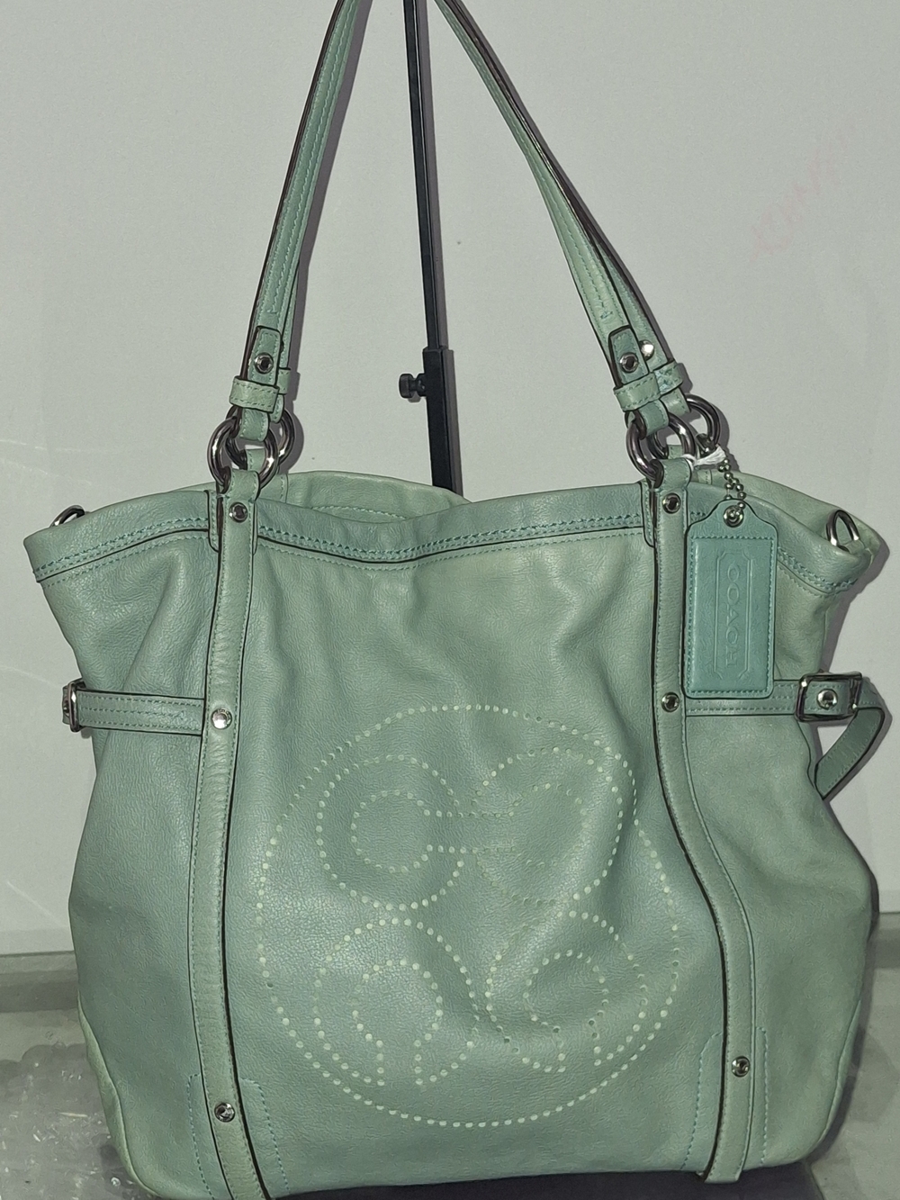 Coach Audrey Andie Leather Tote